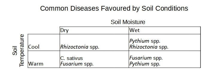 Common Diseases Favoured by Soil Conditions