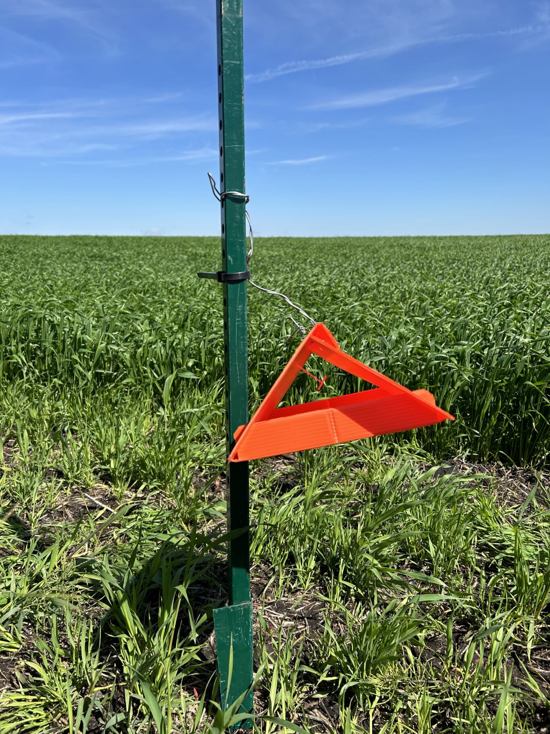 Wheat midge trap