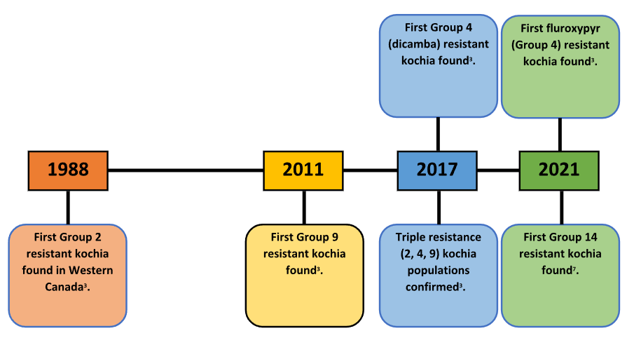 Spread of kocha in Manitoba.